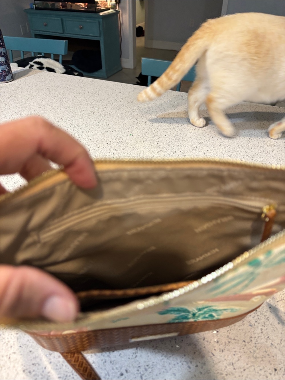 Brahmin Katie Copa Cabana Crossbody - Picture 7 of 9